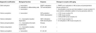 Epigenetics and Female Reproductive Aging